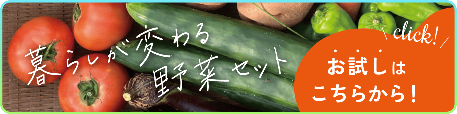 お試しはこちら！